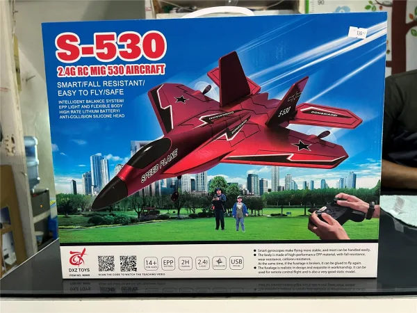 S-530 2.4G R/C MIG Aircraft
