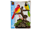 Beautiful Bird - image 3