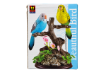 Beautiful Bird