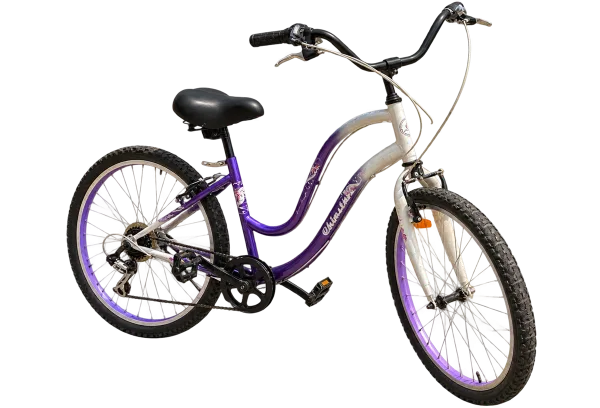 Chinstar Cruiser Bike – Purple & White - 1